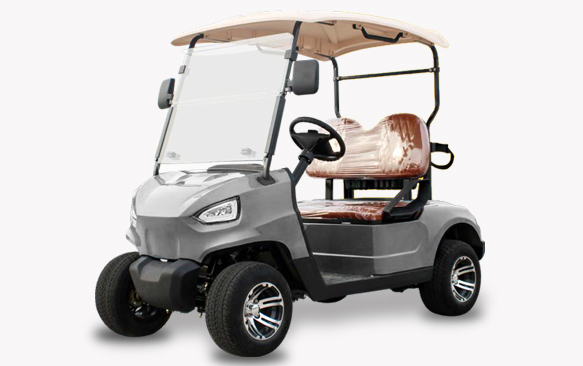 MGC PE 2 Electric Golf Cart
